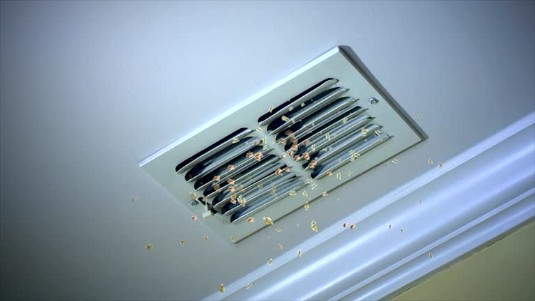 Best Air Duct Cleaning Near Me  in Elk Plain, WA