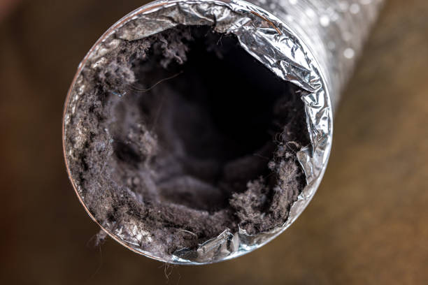 Best Air Duct Cleaning Near Me  in Elk Plain, WA